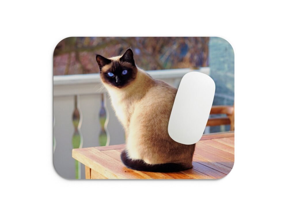 sziámi macska egérpad 002