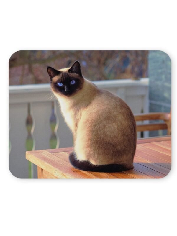 sziámi macska egérpad 004