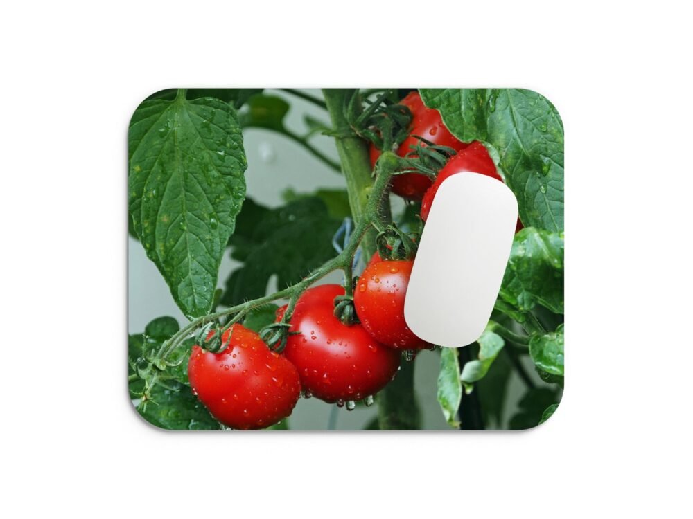 paradicsomos egérpad 002