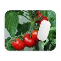 paradicsomos egérpad 002