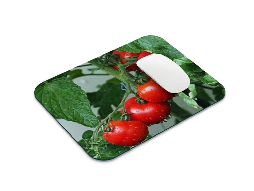 paradicsomos egérpad 001