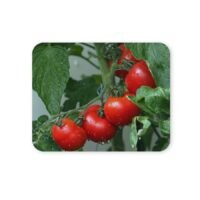 paradicsomos egérpad 004