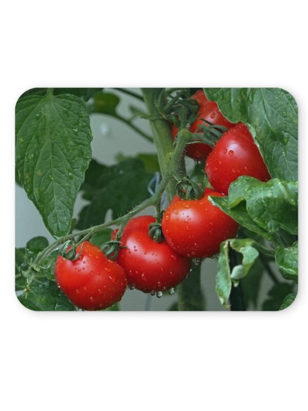 paradicsomos egérpad 004