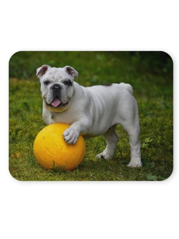 angol bulldog egérpad 004
