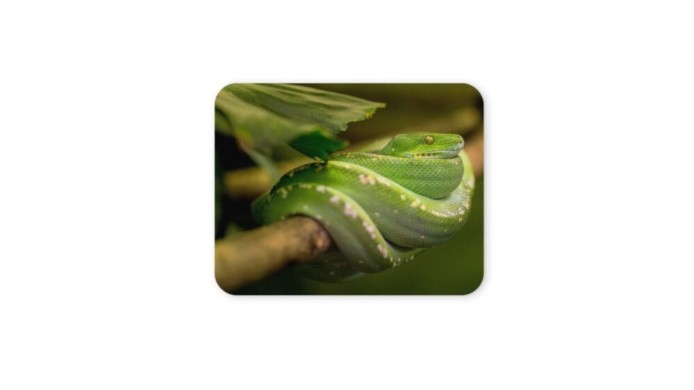 zöld piton egérpad 004
