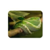 zöld piton egérpad 004