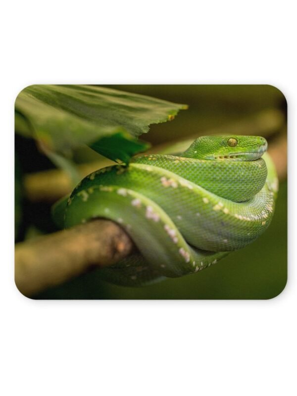 zöld piton egérpad 004