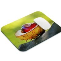 vadgesztenye egérpad 001