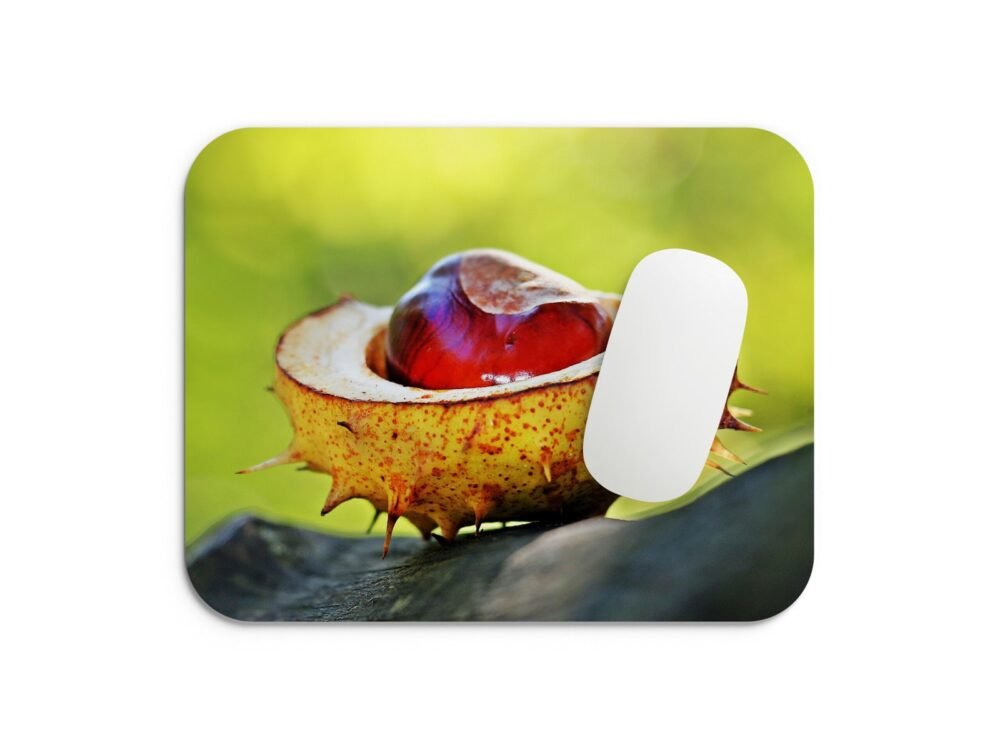 vadgesztenye egérpad 002