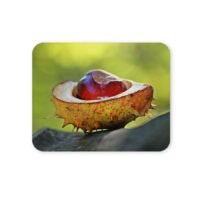 vadgesztenye egérpad 004