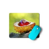vadgesztenye egérpad 003