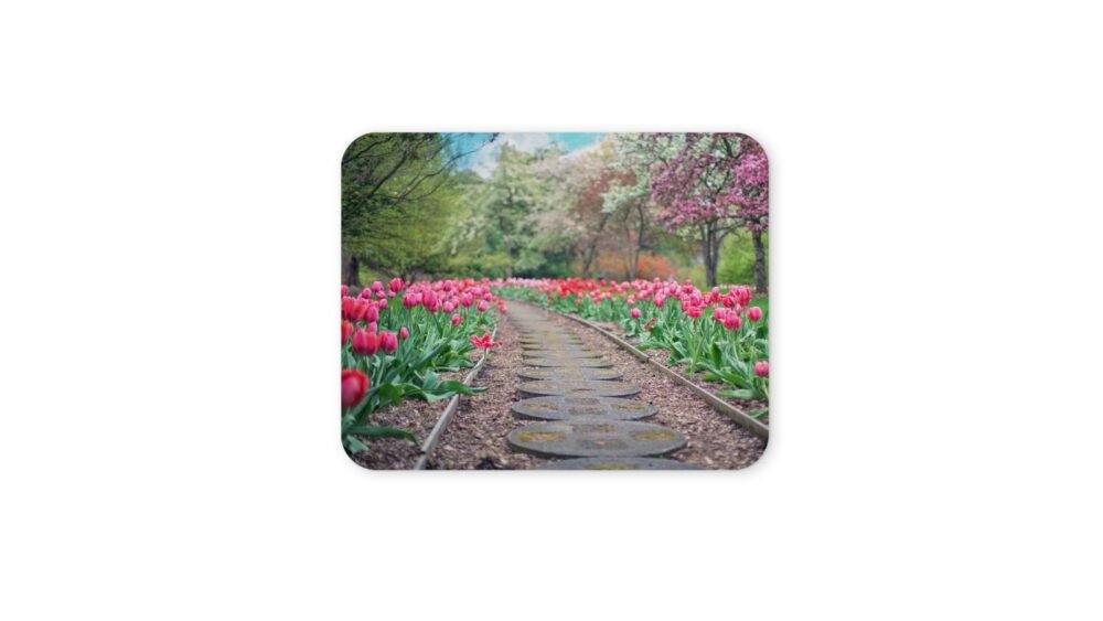 tavaszi egérpad 004