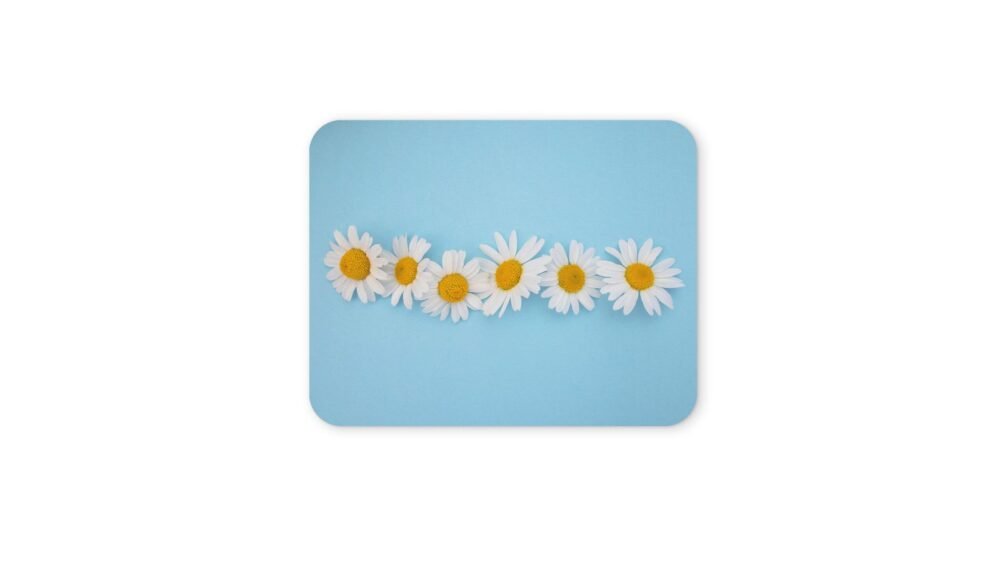 kamilla egérpad 004