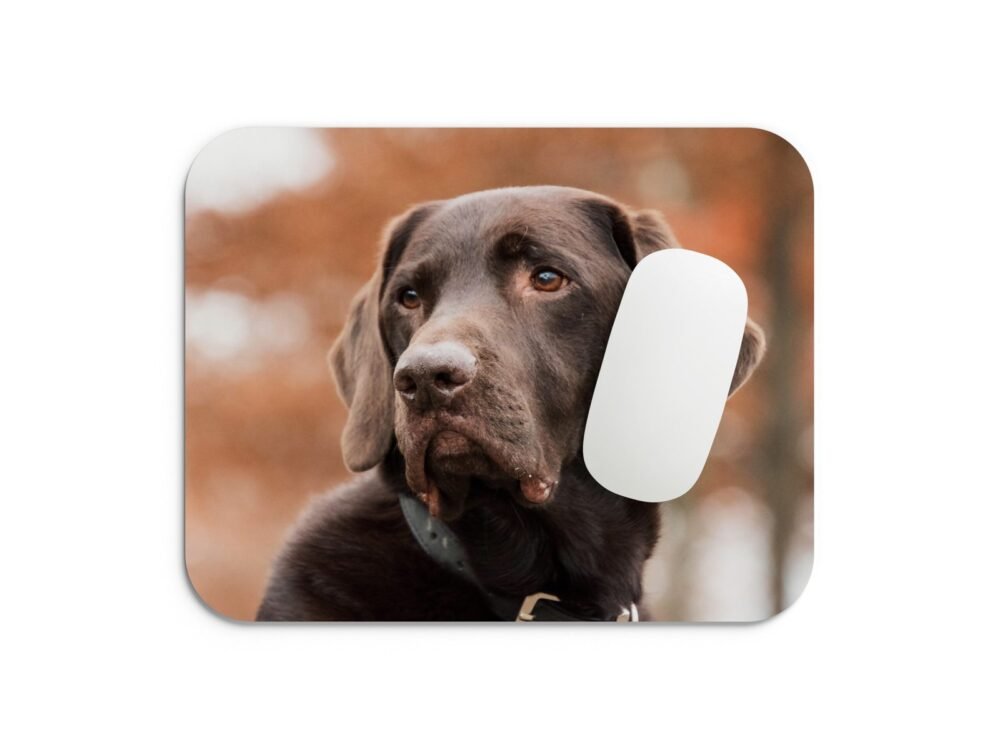 labrador egérpad 002