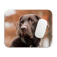 labrador egérpad 002