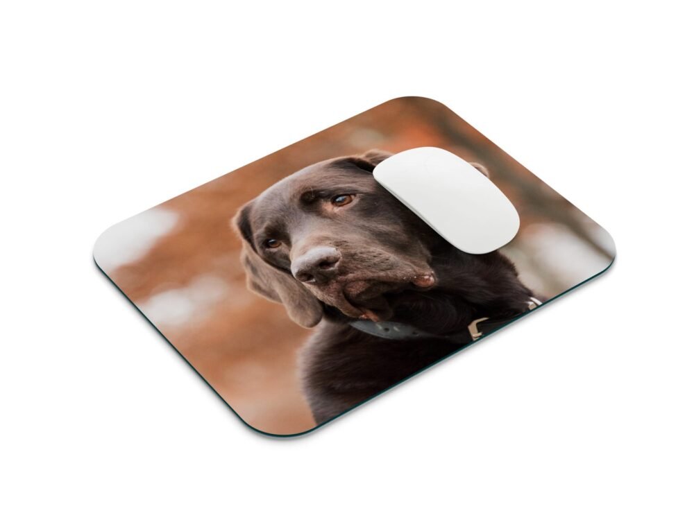 labrador egérpad 001