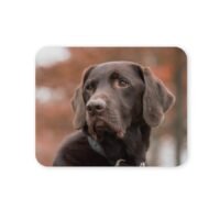 labrador egérpad 004
