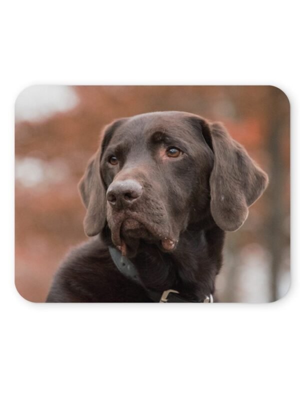 labrador egérpad 004