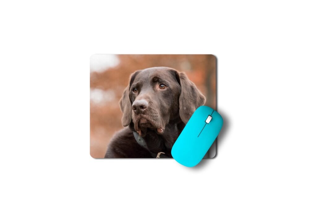 labrador egérpad 003