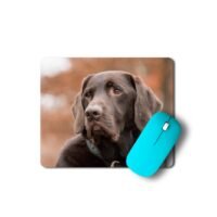 labrador egérpad 003