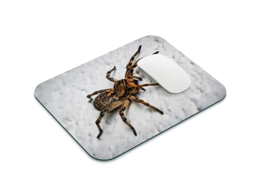 farkaspók egérpad 001