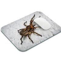 farkaspók egérpad 001