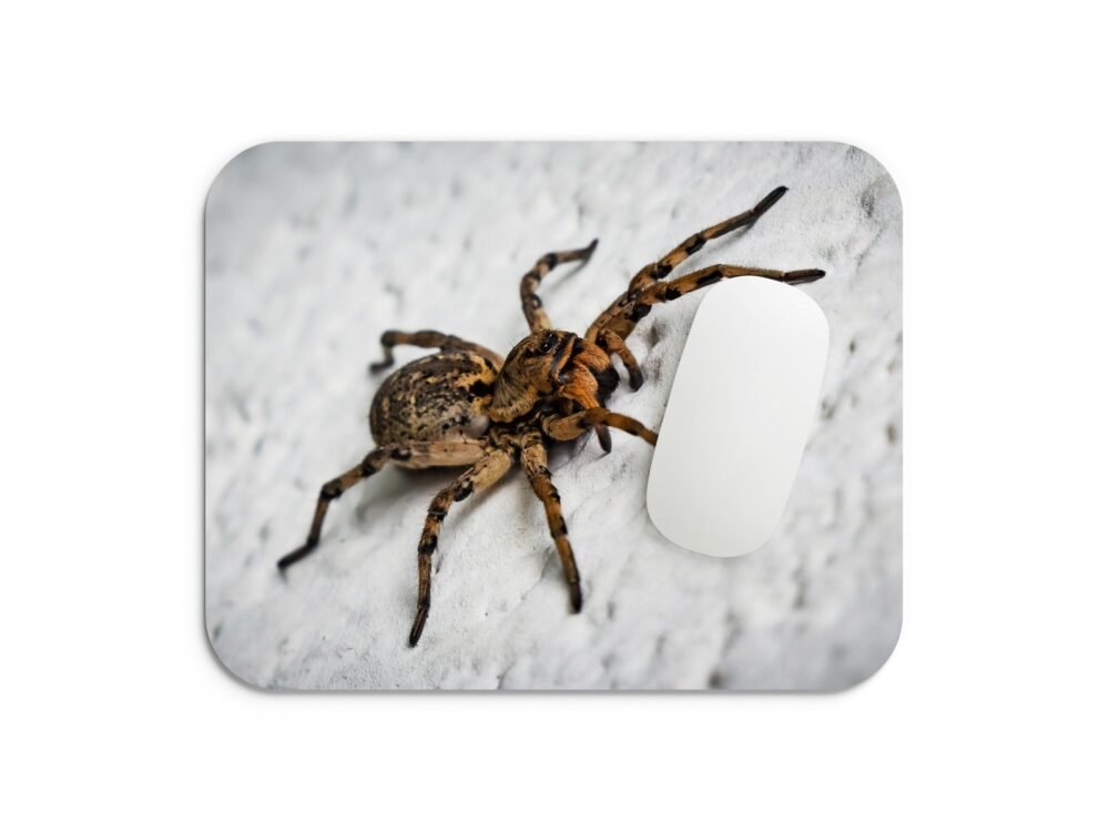 farkaspók egérpad 002