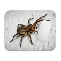 farkaspók egérpad 002