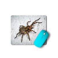 farkaspók egérpad 003