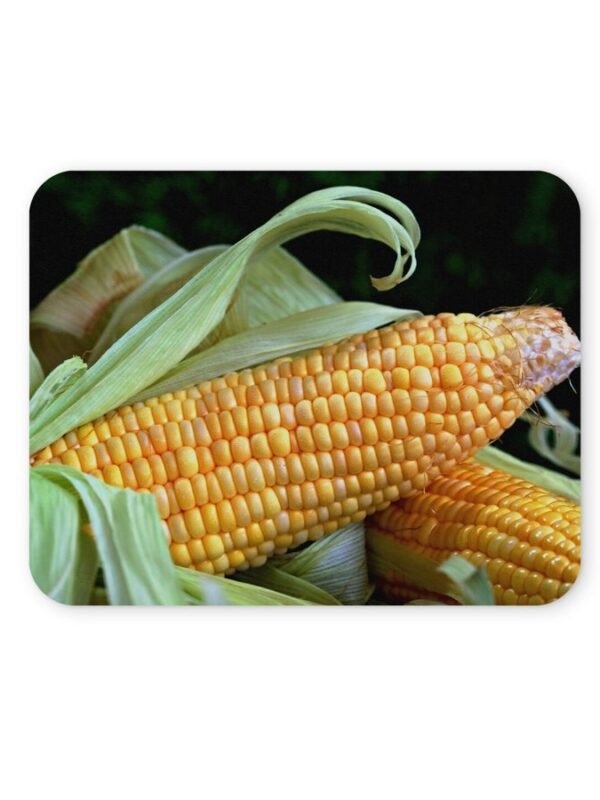 kukoricás egérpad 004