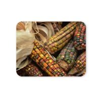 indián kukorica egérpad 004