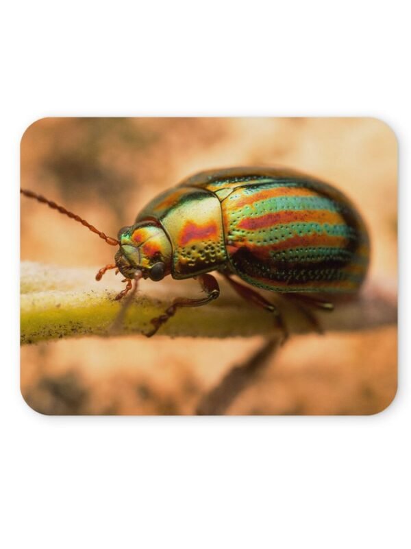 levélbogár egérpad 004