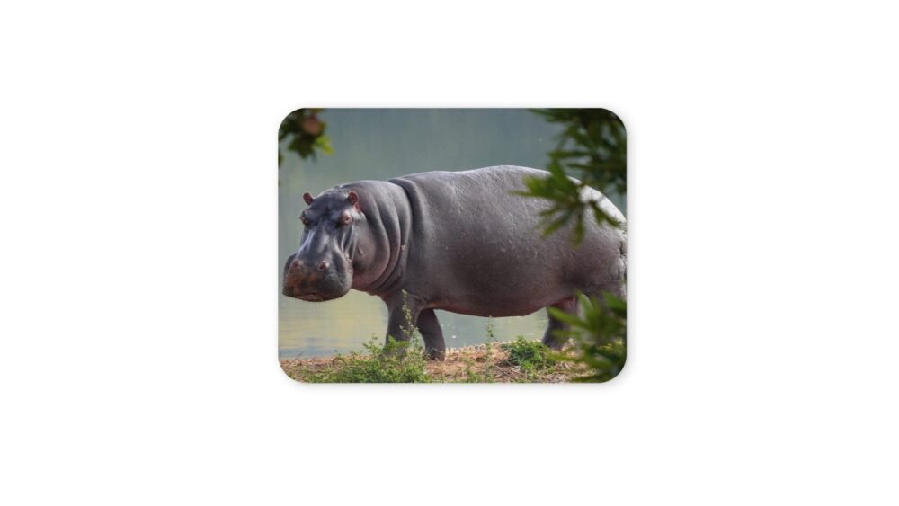 víziló egérpad 004