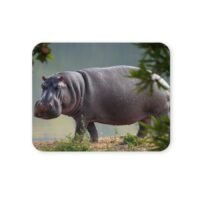 víziló egérpad 004