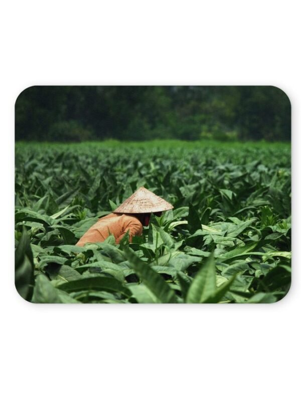 mezőgazdasági egérpad 004