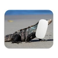 páncélos leguán egérpad 002