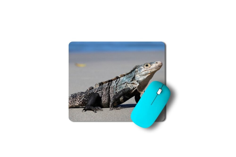 páncélos leguán egérpad 003