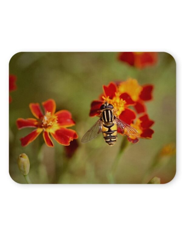 zengőlégy egérpad 004