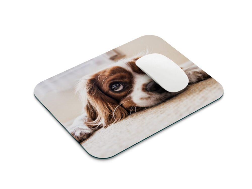 kutyás egérpad 001