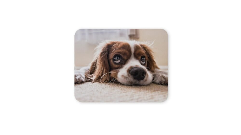 kutyás egérpad 004