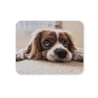 kutyás egérpad 004