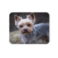 yorki egérpad 004