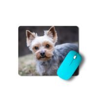yorki egérpad 003