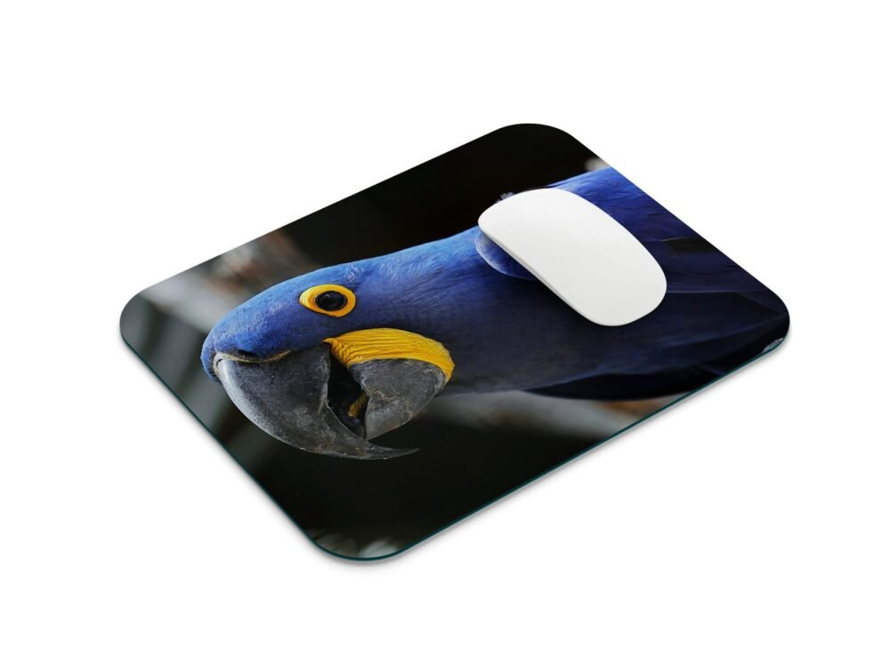 jácintkék ara egérpad 001