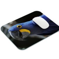 jácintkék ara egérpad 001