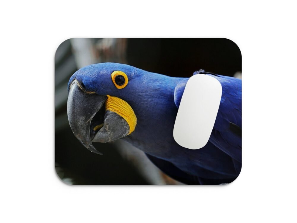 jácintkék ara egérpad 002