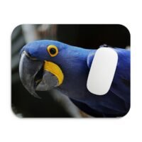 jácintkék ara egérpad 002