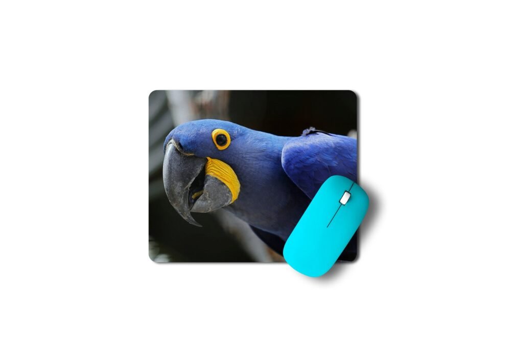 jácintkék ara egérpad 003