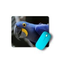 jácintkék ara egérpad 003