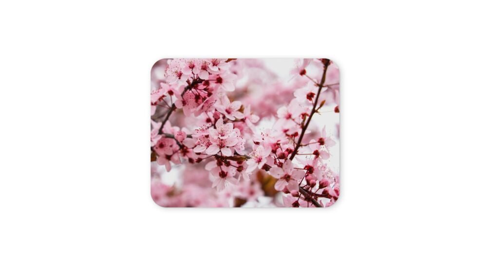 szakura egérpad 004